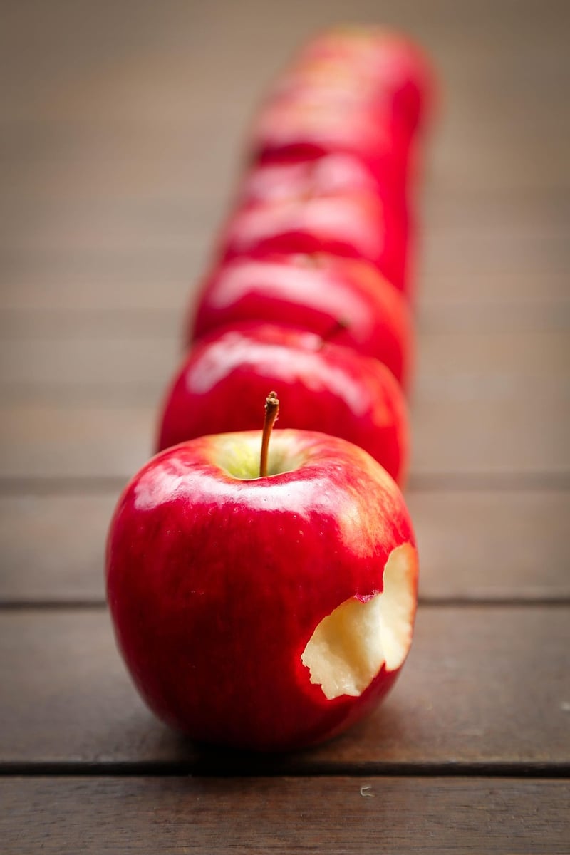 Apple Orchard